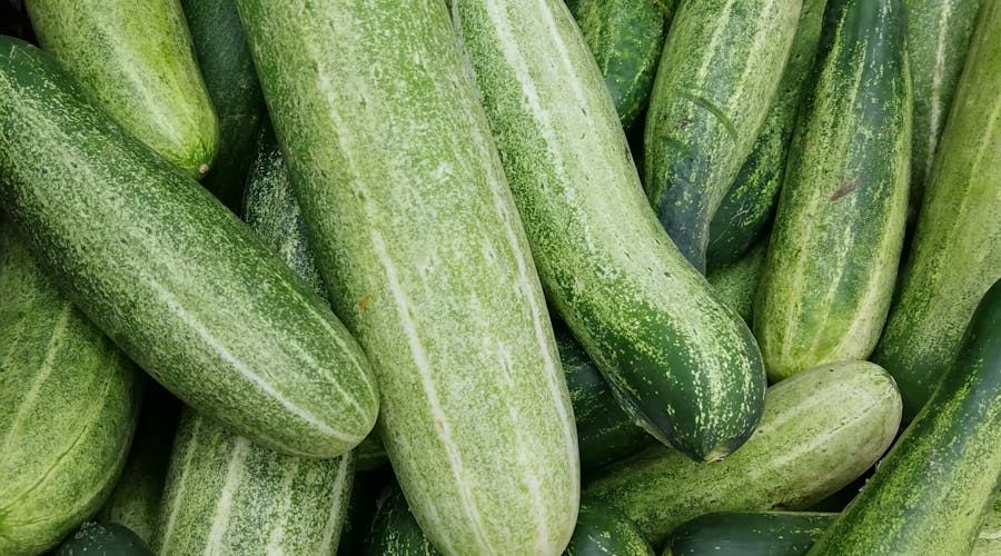 Fermented Kimchi Superfood Kimchi for gut microbiome health